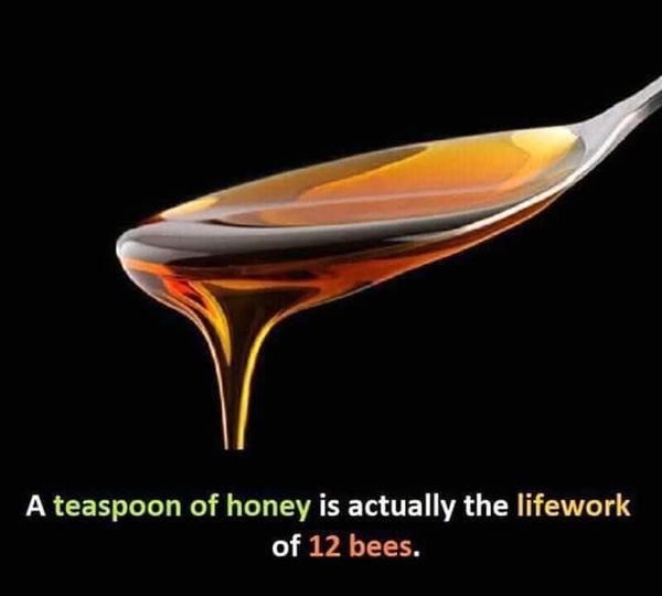 296184634 5552691851437084 2655456697841140614 n