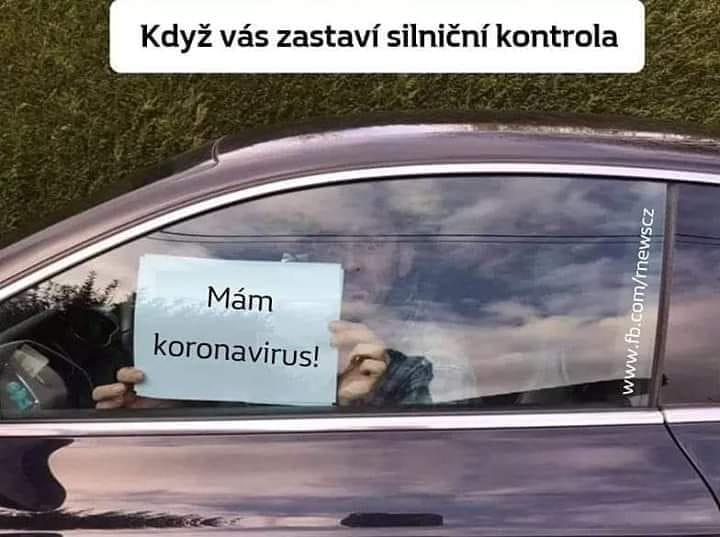 87370948 10215728781804761 8391289506996682752 n