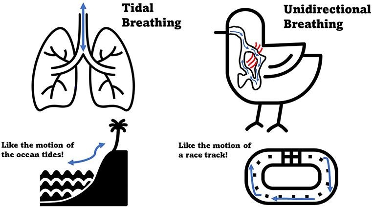 d140a970-b00d-4774-a946-4fe7eabb5f10