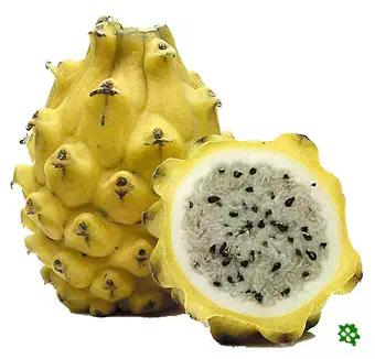 d2f3a9ff-14d7-497a-8608-4fd4c69024f8