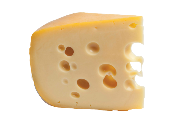 Untitled+design+ 23 -removebg-preview