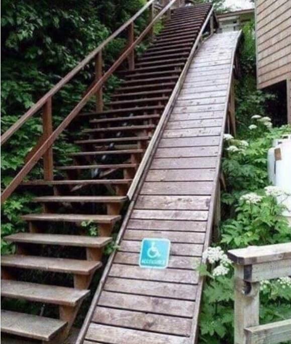 sub-buzz-456-1580475054-1