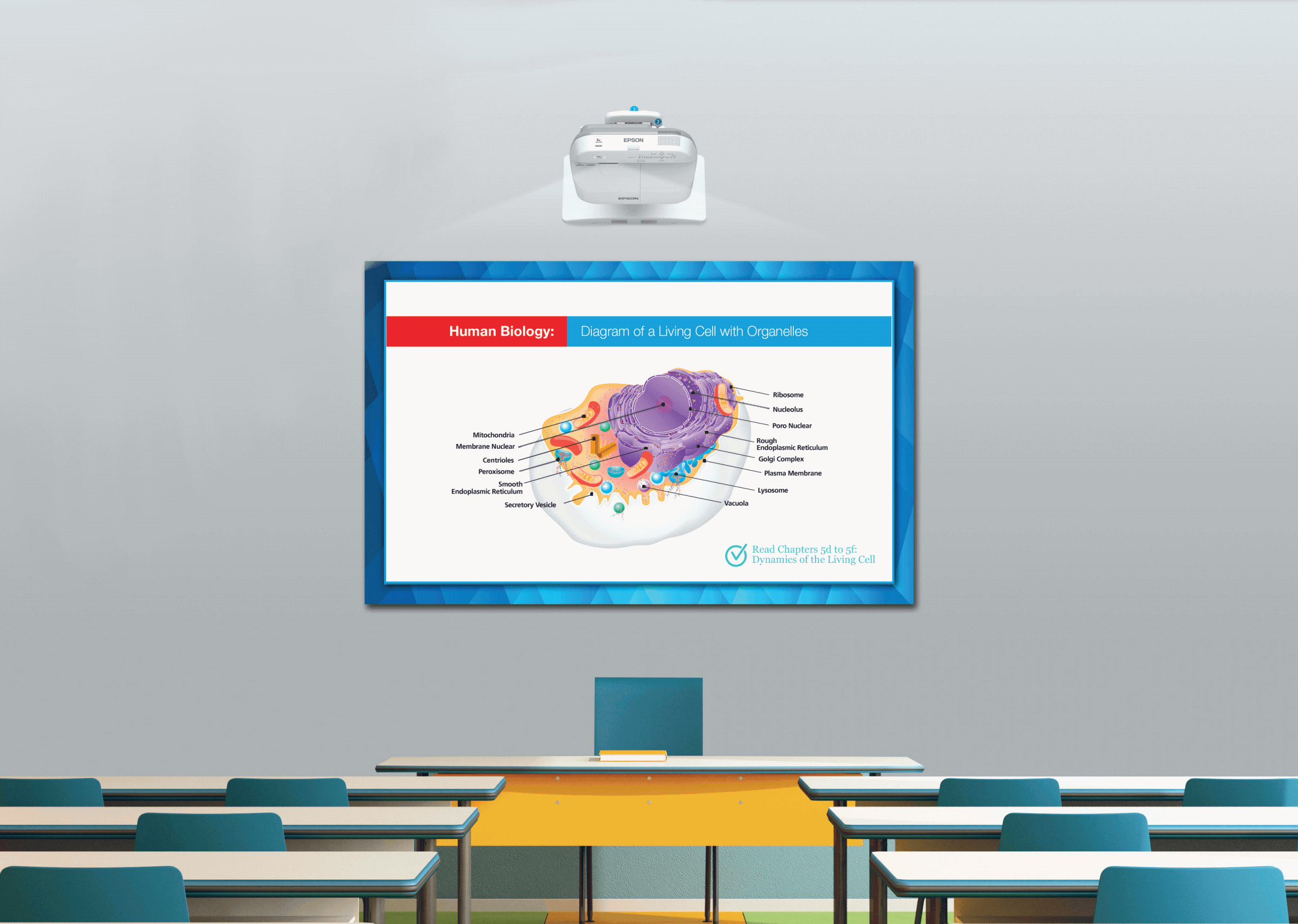 frame 00 delay-0.25s