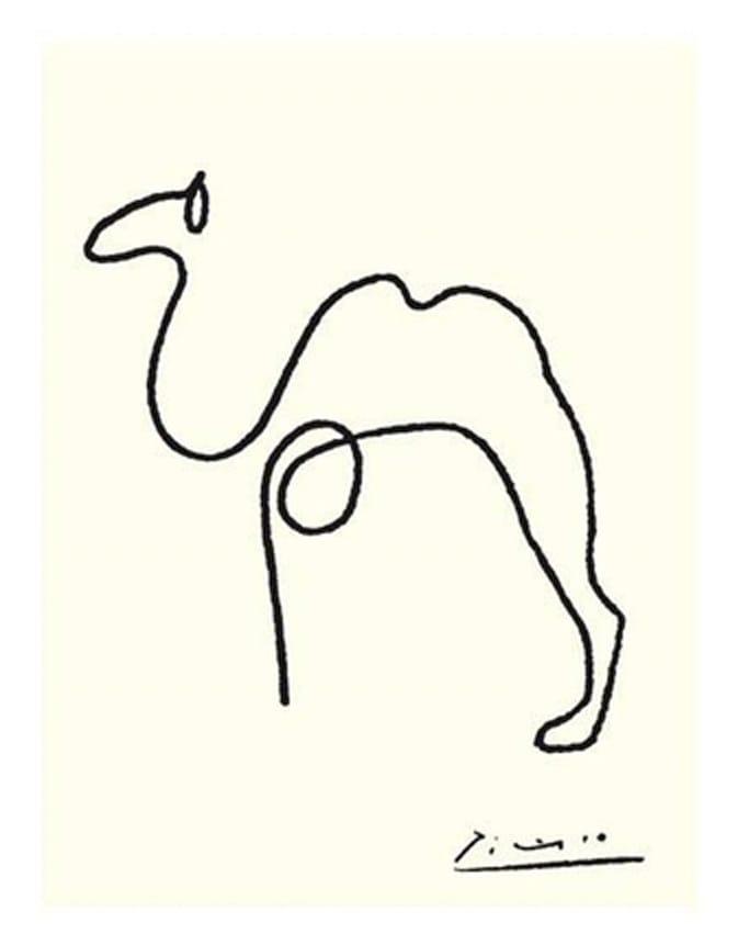 elumina-inspiration-one-line-picasso-drawings-camel-animals-2