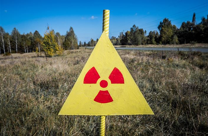 ELE62ccc7 shutterstock 229803760