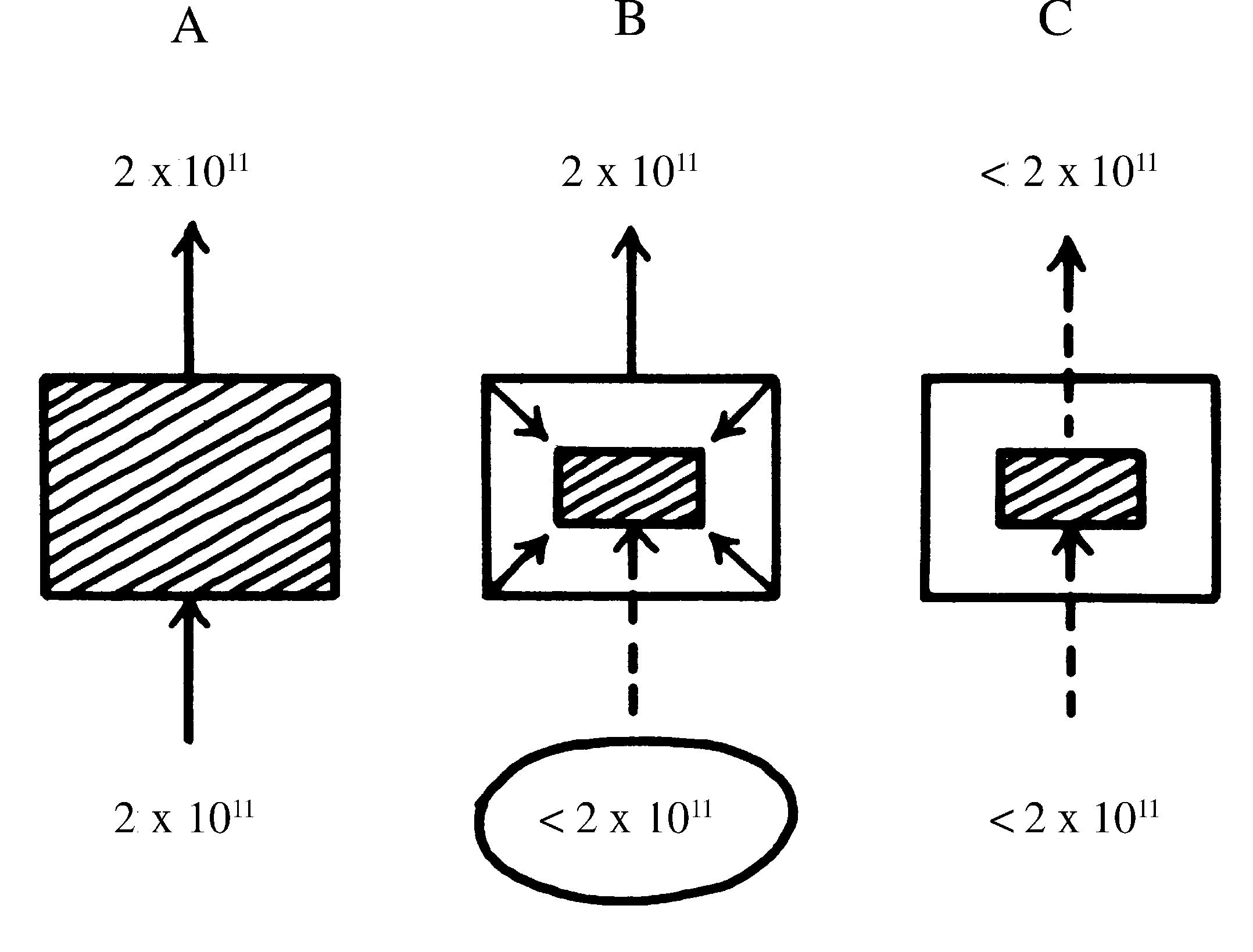 2021 Patologicka fyzio 1 Page 054 Image 0001