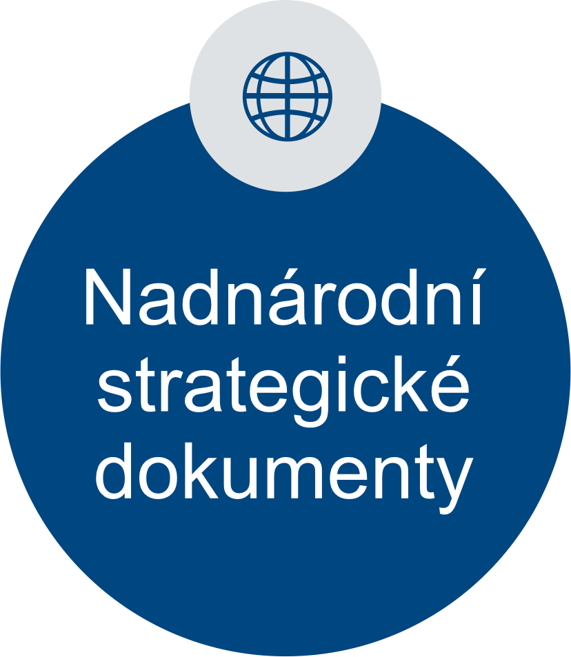 NPI ORGPAD bunka nadnarodni 1
