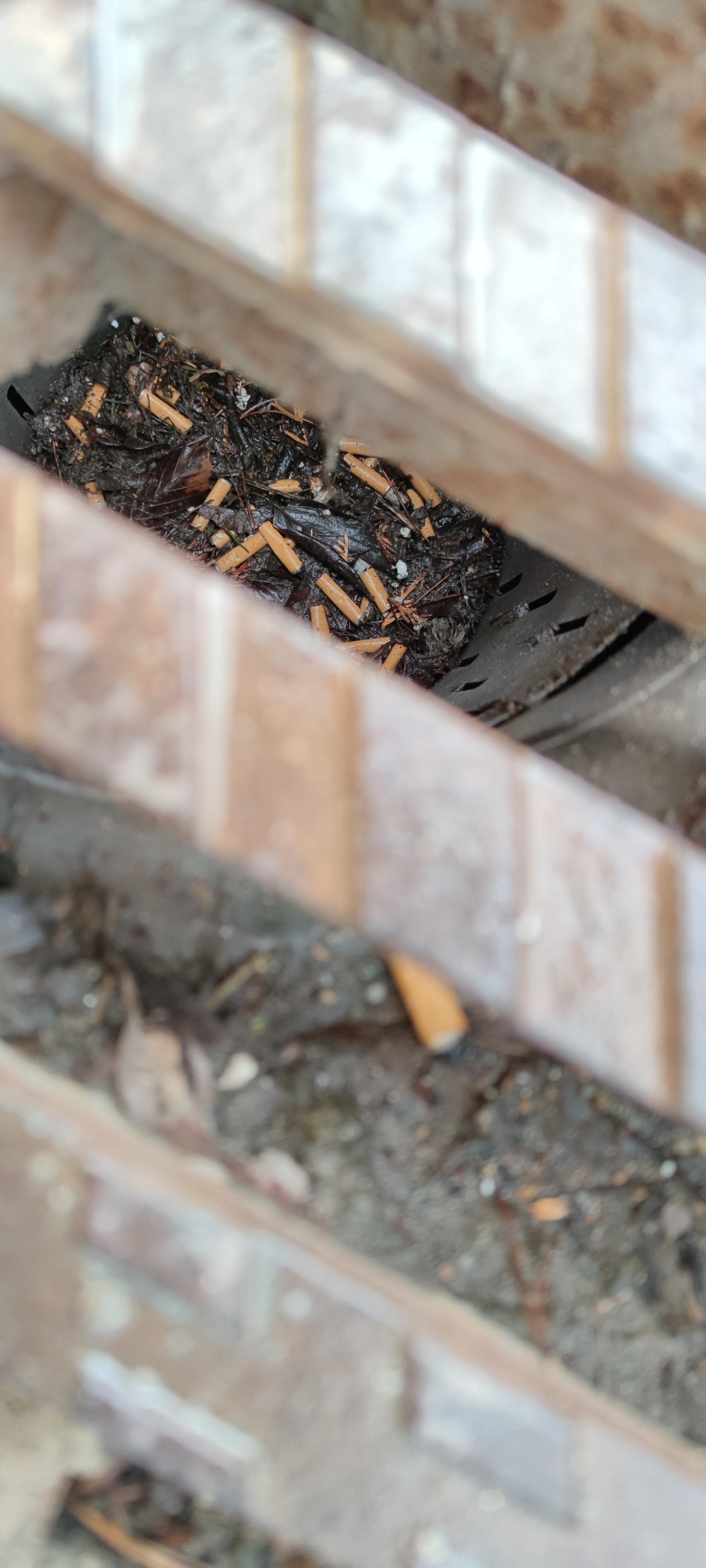 16178108304228179855212884062682