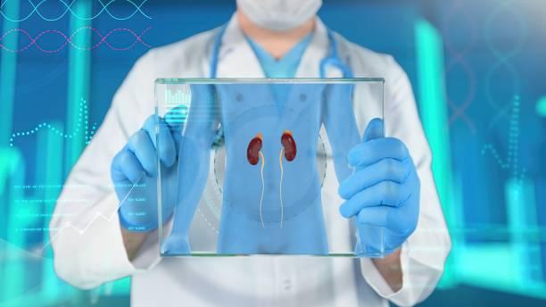 istockphoto-1306663269-612x612