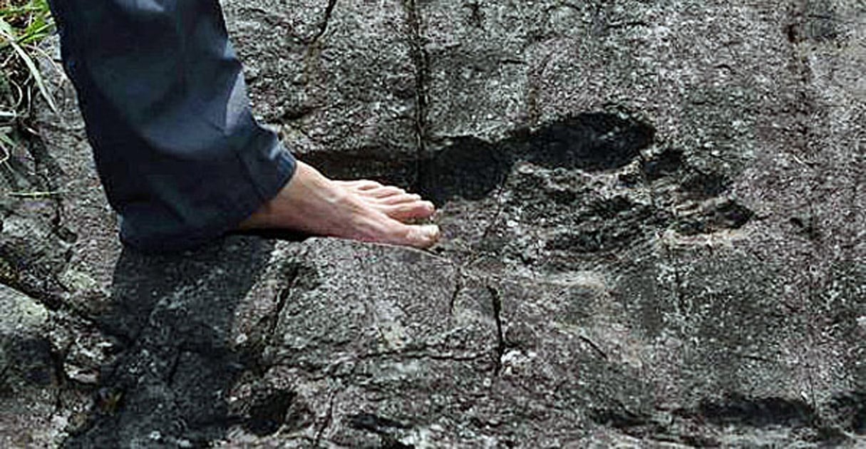 The-Giant-Footprint-of-Pingyan