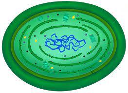 d505aedc-544e-4493-a11f-2c299c4dc3d8