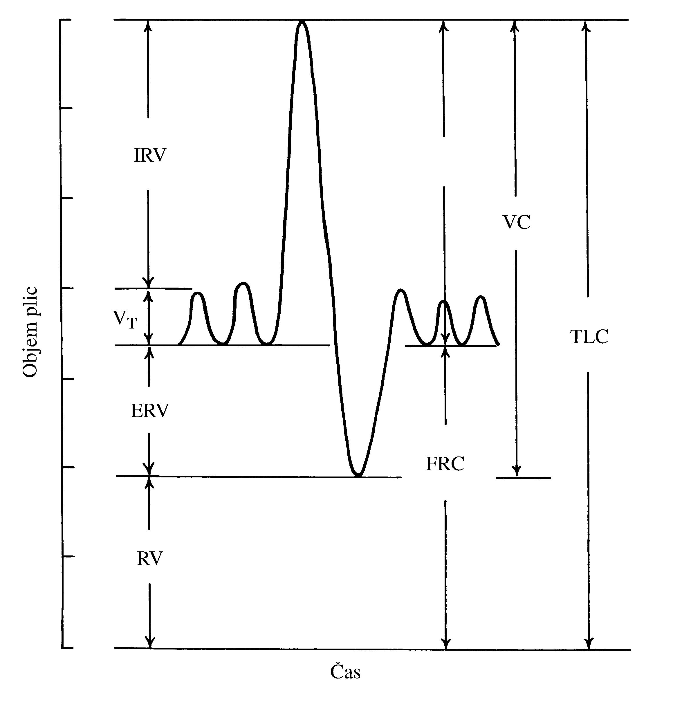 2021 Patologicka fyzio 1 Page 326 Image 0001