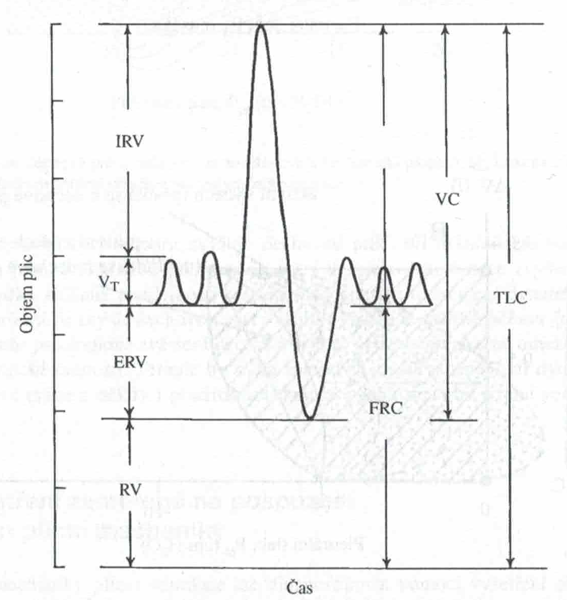 Skener 20231220 (23)