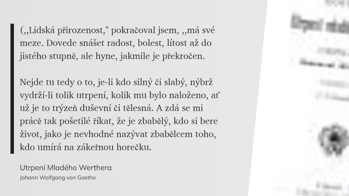 Utrpení Mladého Werthera (24)