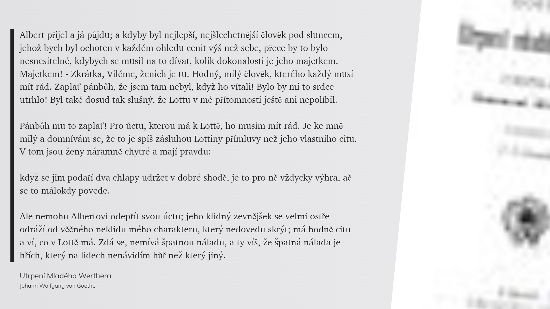 Utrpení Mladého Werthera (19)