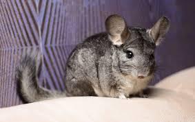 d784e7dd-0e0b-465b-830d-db69847a94f6