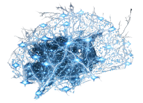 brain2-removebg-preview