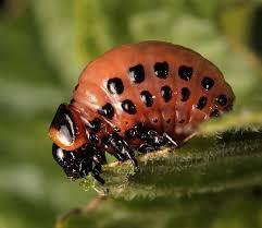 d7cceff9-1c04-40a6-aa56-b3807c8c896d