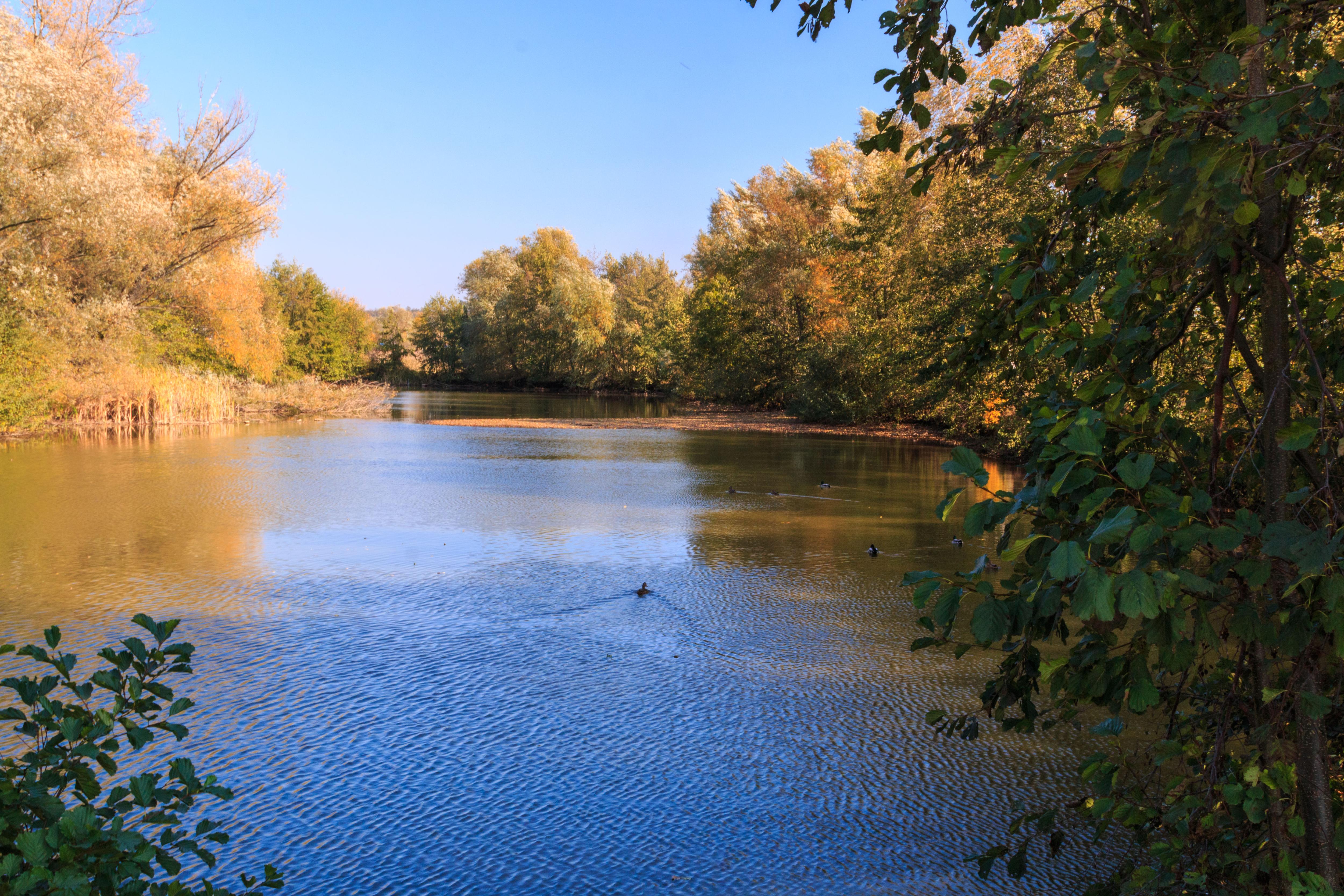Černé jezero (Orlice) 01