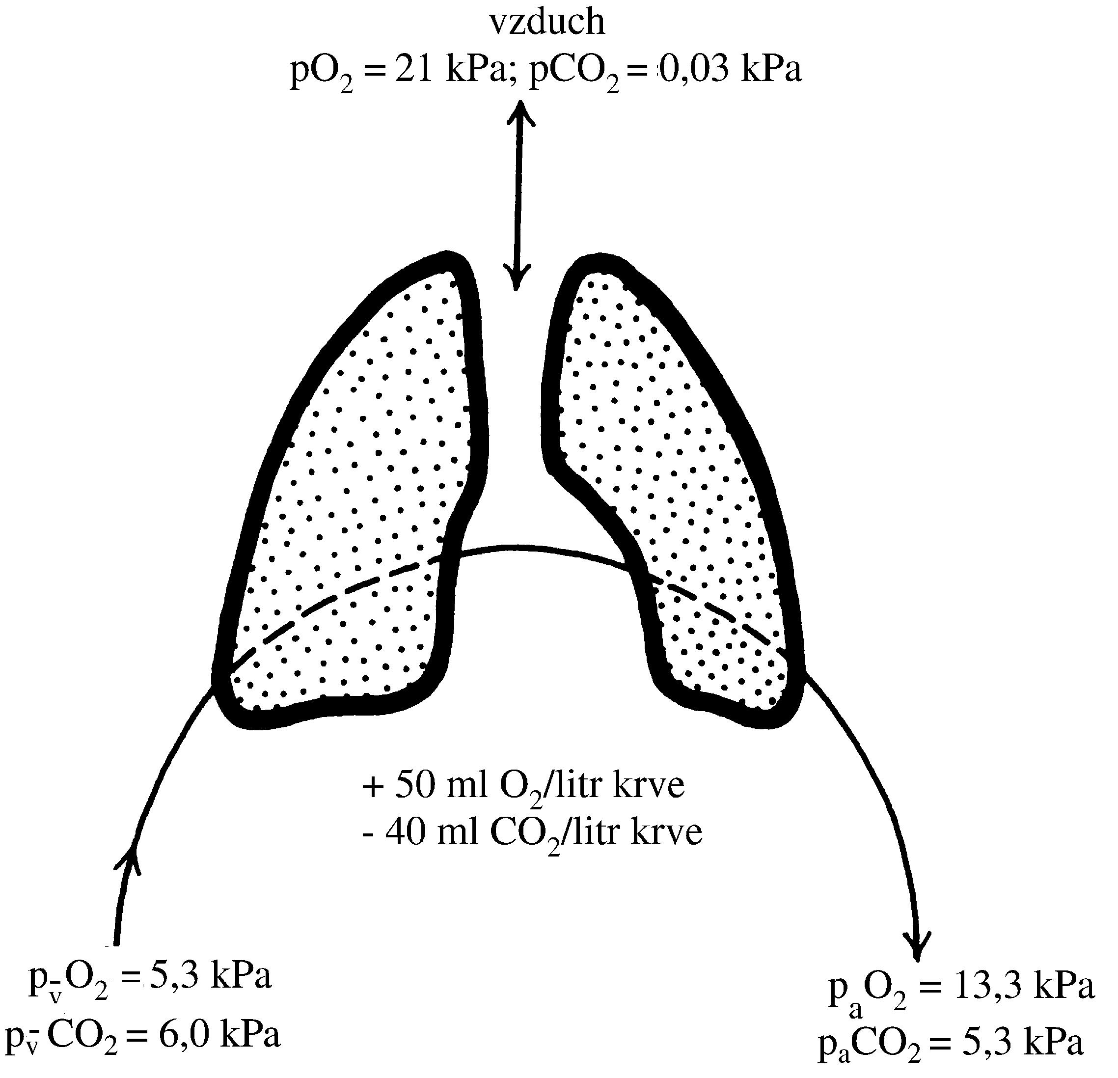 2021 Patologicka fyzio 1 Page 272 Image 0001