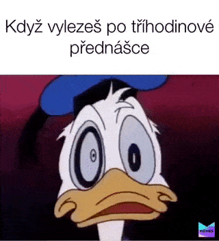 přednáška tříhodinová