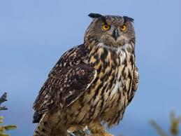 d8c8dd79-6f3d-4a6c-87bb-ed7b094a748a