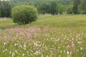 d9f885c8-5e39-4b70-b8e5-d547cabfdf4d