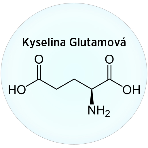 Kyselina glutamova