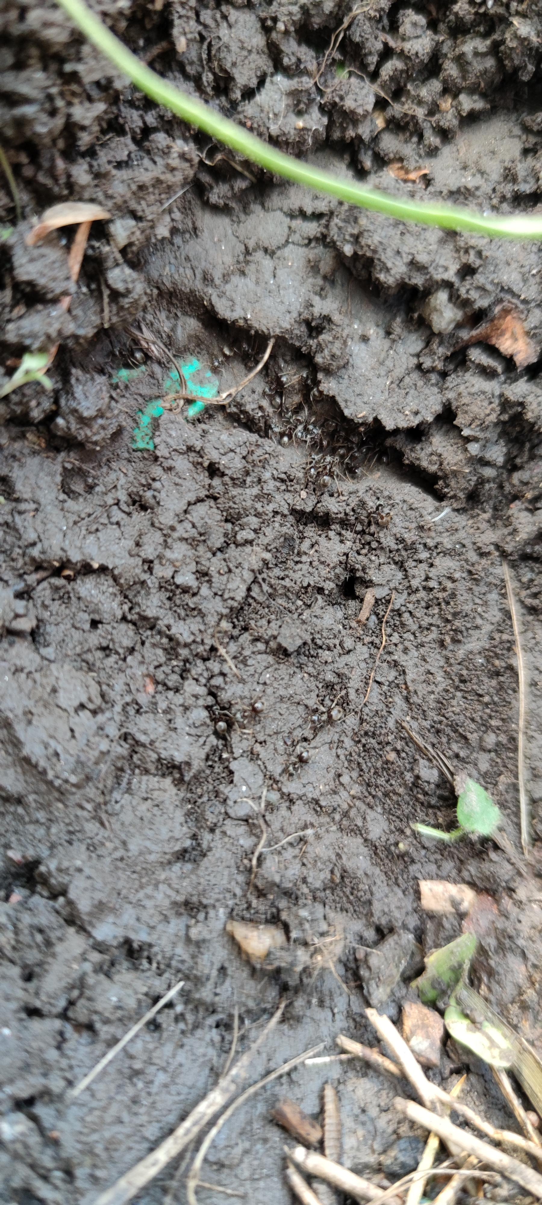 16178113455521361362112012672456