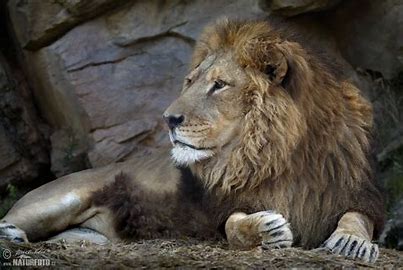 ff297fba-01fe-41e6-9eeb-257a2c4aa944