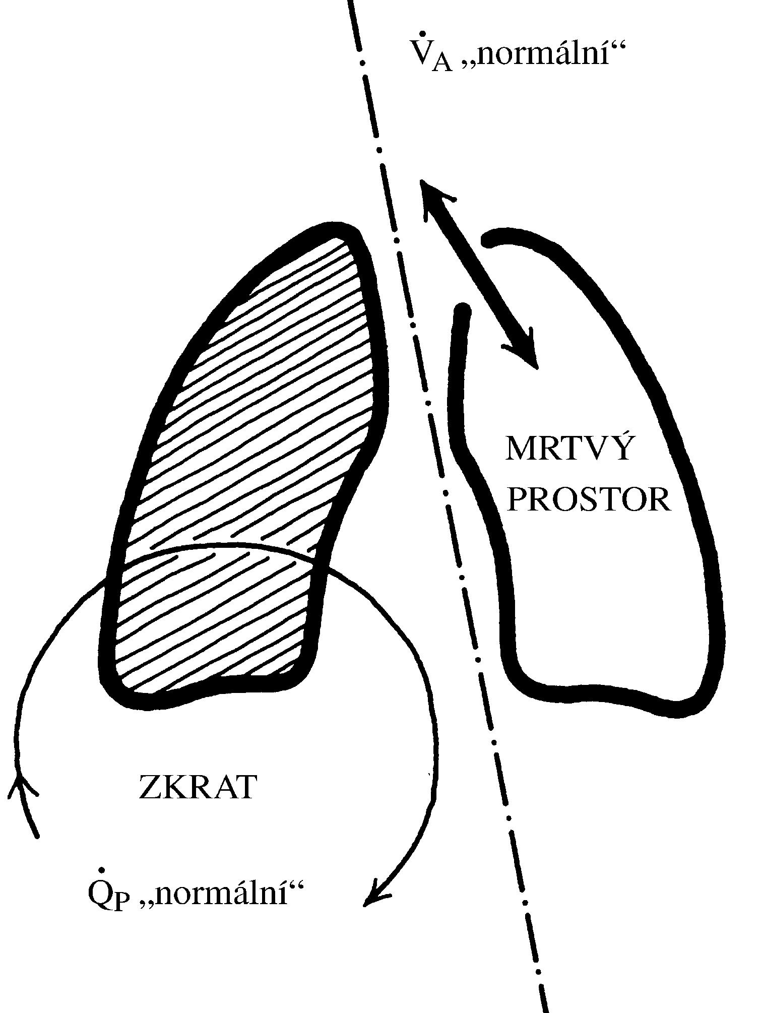 2021 Patologicka fyzio 1 Page 280 Image 0001