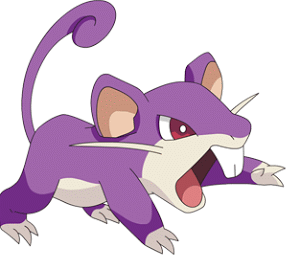 019-rattata