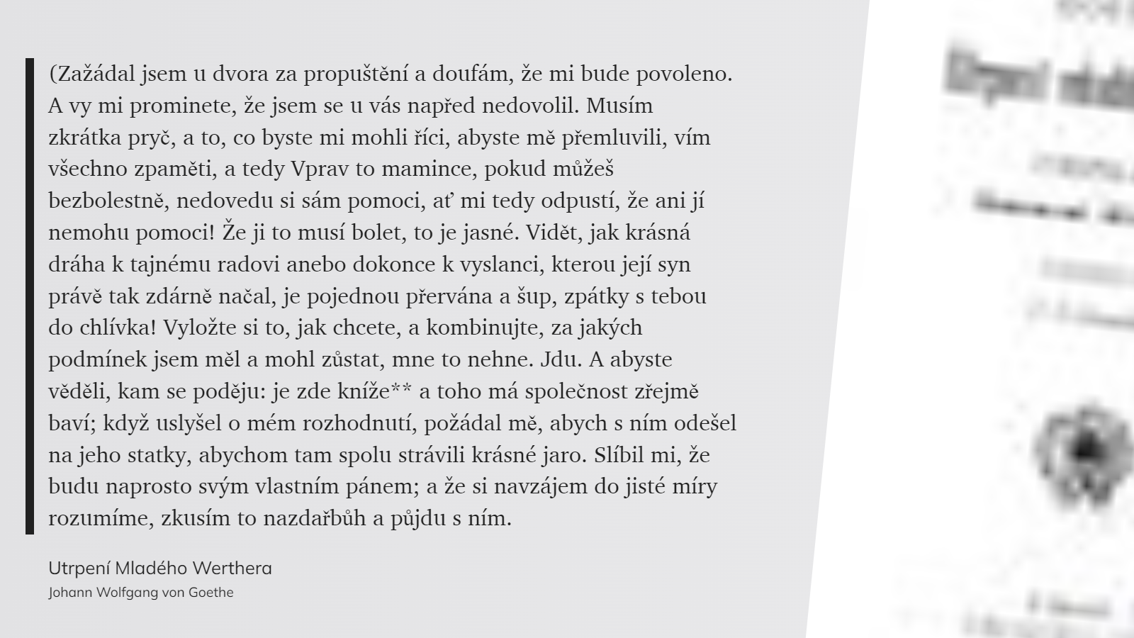 Utrpení Mladého Werthera (37)