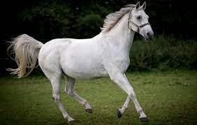 da57d5cc-ac46-4e21-9dff-e8aa71e63b4d