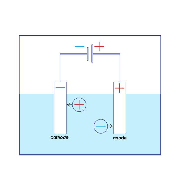 istockphoto-1173497440-612x612