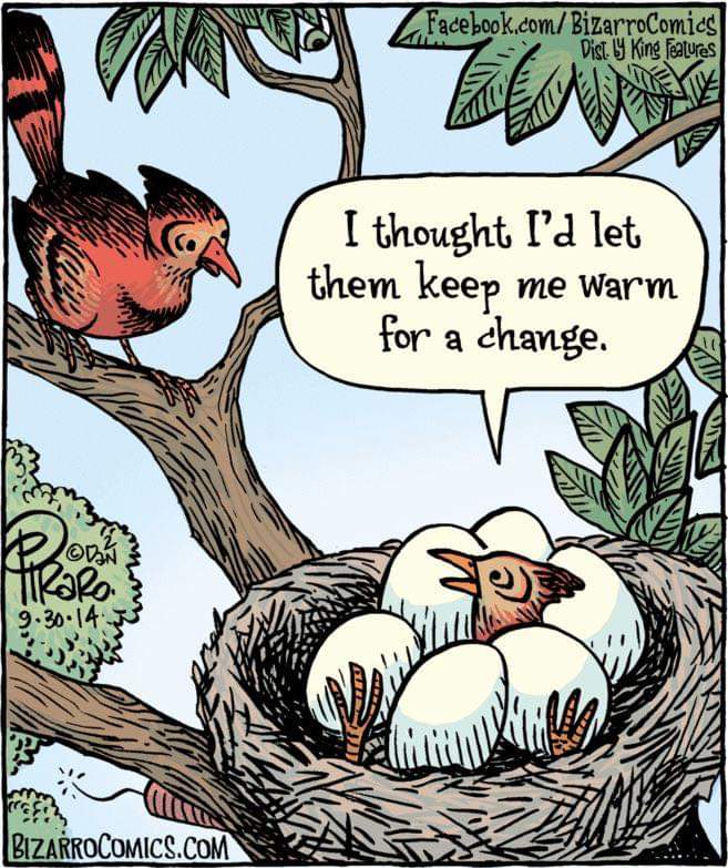 FB IMG 1674395584765