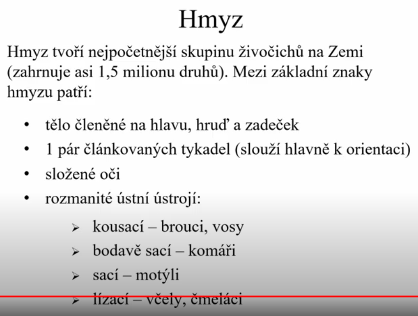 hmyz výpisky