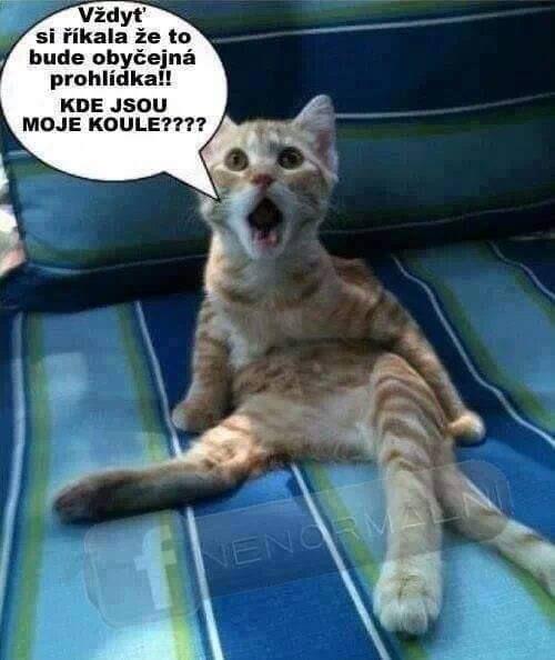 f3e69743812d11f870e3c39bff06c1da