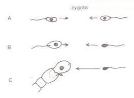 dc31109e-4a01-4ca6-87e9-e2d8c1534034