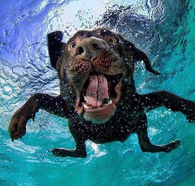 8BB1C6B8-3942-4081-A2B9-DB3F852AECA5