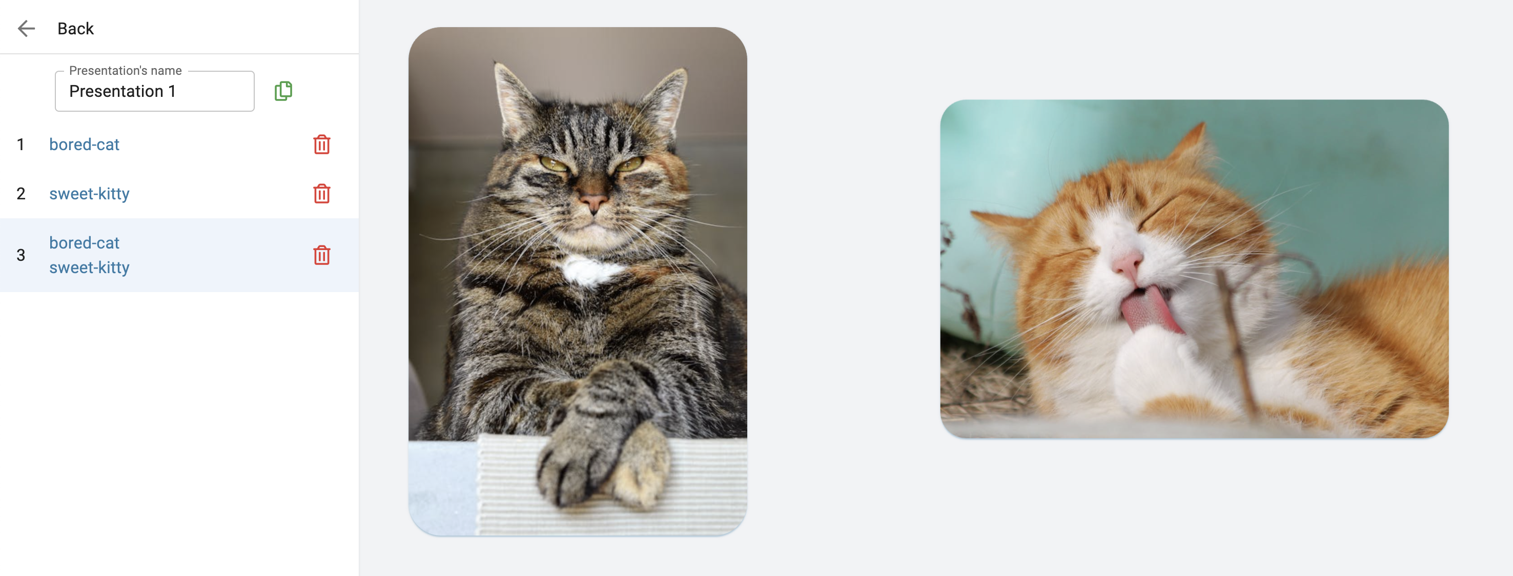 A presentation with two cats