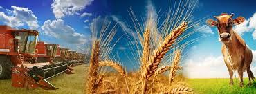 de2496ae-be54-4345-8f1f-8b4c5a309f50