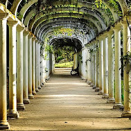 Túnel-em-formato-de-arco-no-Jardim-Botânico