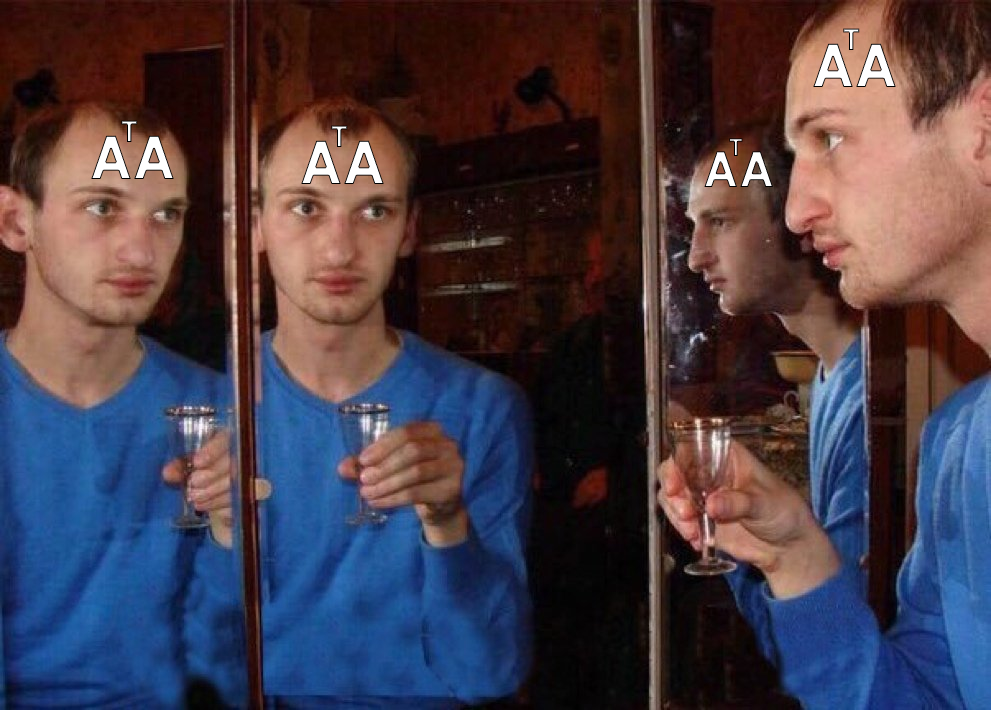 symmetric matrix meme1