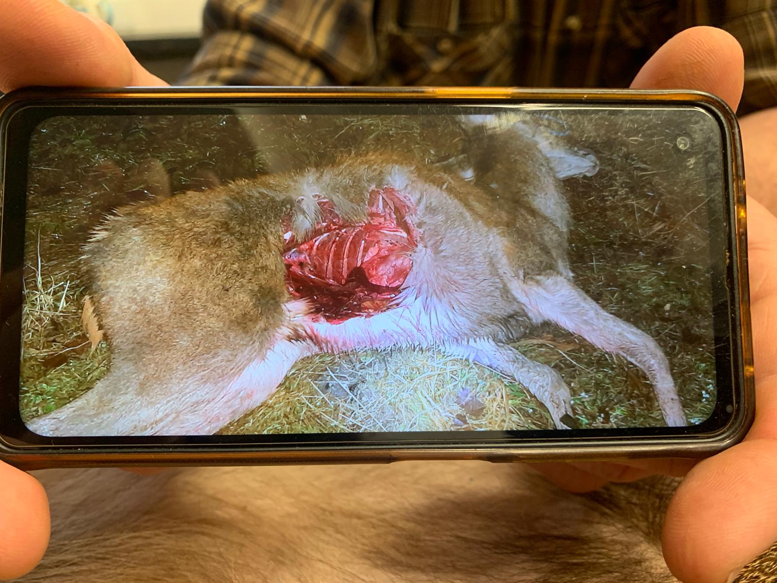 efa4b127-9f87-45c9-95d5-2911a3064014