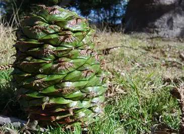 df35ffb3-3d4b-45a5-a84b-7619865b65a9