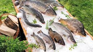 df657eb6-81cc-49cf-9cb8-c14fd318d3d4