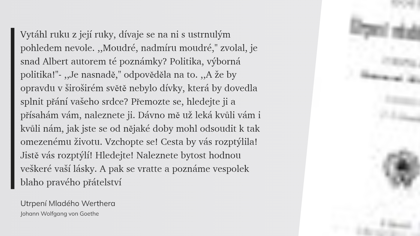 Utrpení Mladého Werthera (48)