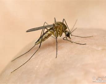 e0761235-cd36-495b-8aeb-0fda8748bf24