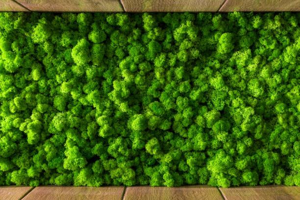 istockphoto-1090854280-612x612